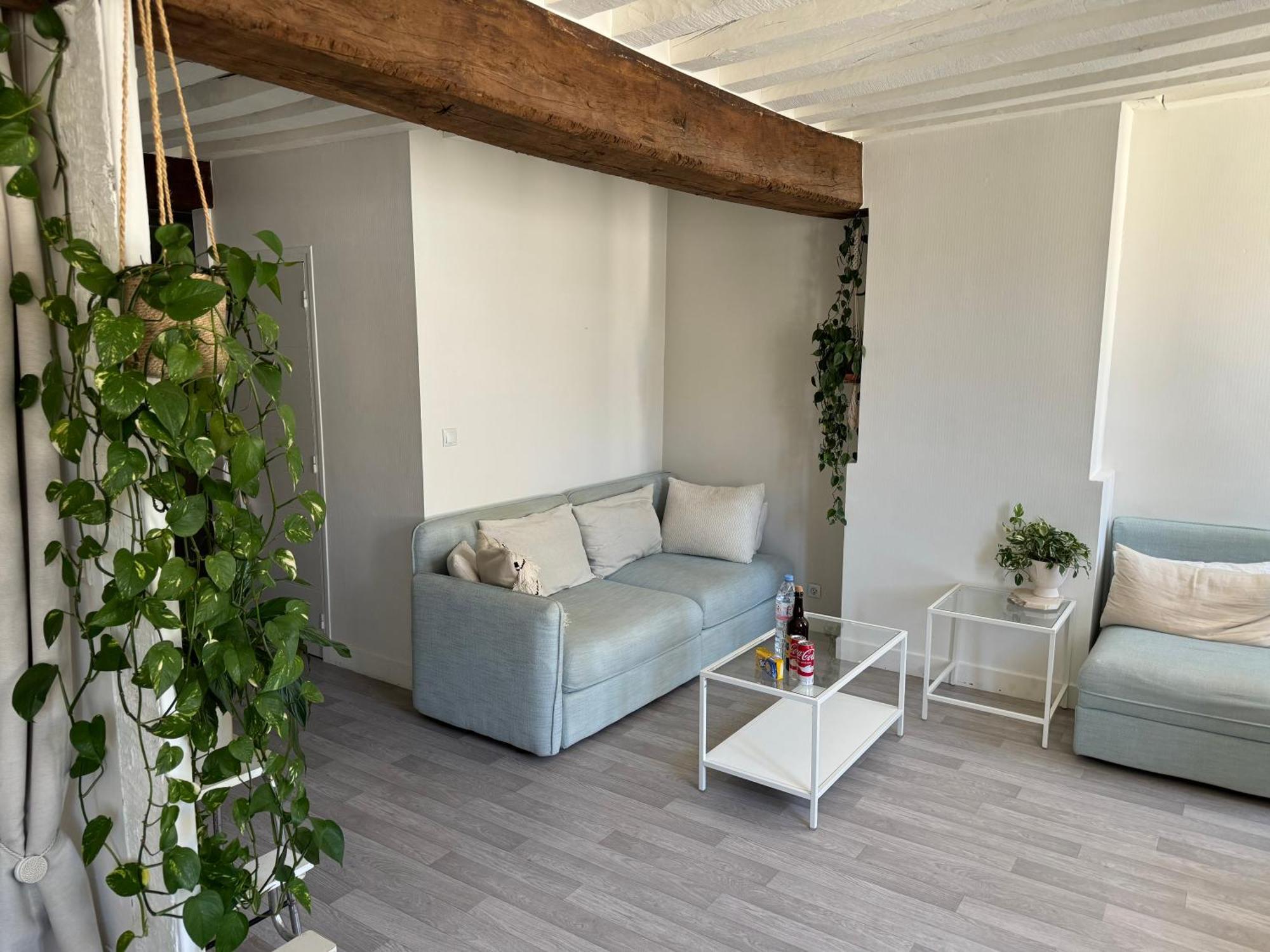 Appartement Central - Orléans Esterno foto