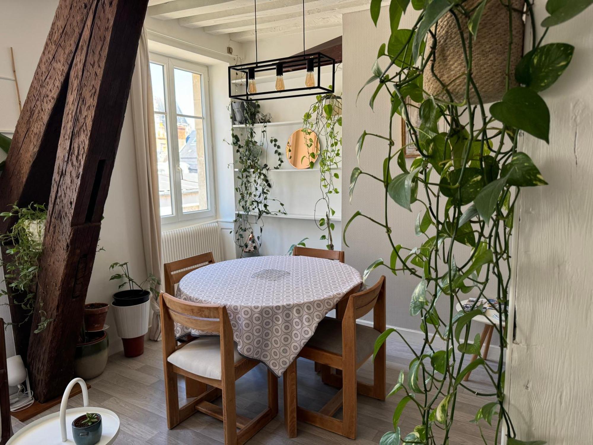 Appartement Central - Orléans Esterno foto