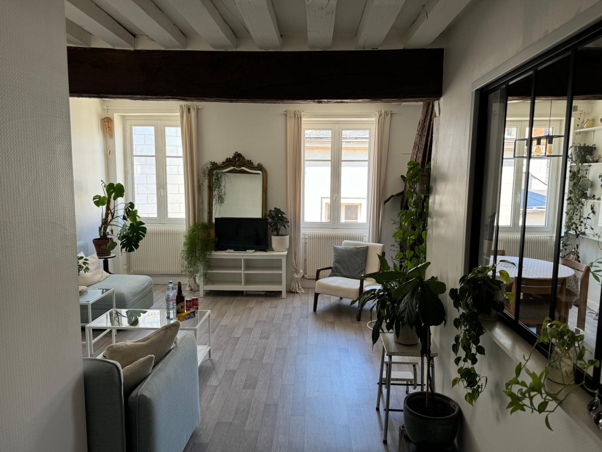 Appartement Central - Orléans Esterno foto